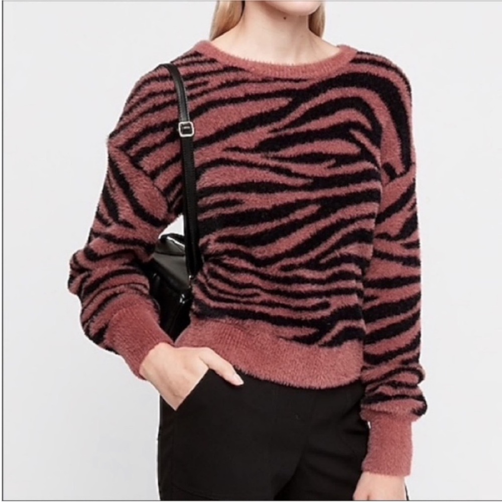 Express Soft Zebra Stripe Sweater